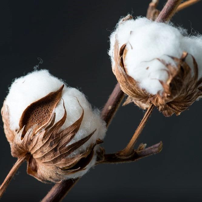 Välj menstrosor för miljön - Comfydence 
